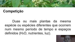 Competição entre as plantas daninhas e as plantas cultivadas
