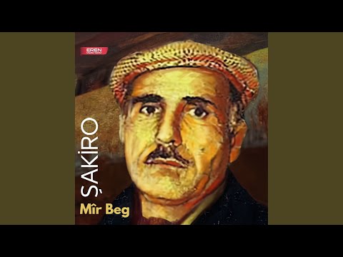 Mir Beg