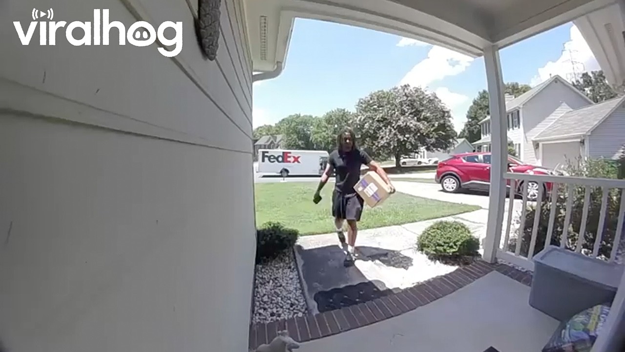 Packages Carelessly Thrown on Front Porch || ViralHog