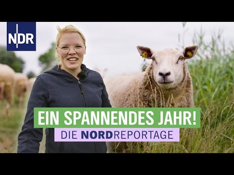 , title : 'Störrische Schafe, ein Schutzengel, starke Frauen und Heike Marit immer mittendrin | Die Nordreporta'