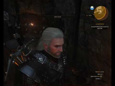 witcher 3 - spotted wight lair