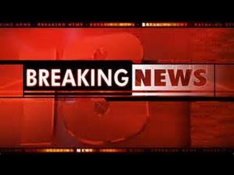 The Official release video of Snuffy the Seal (Shark Week 2013).