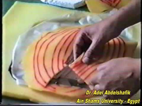 Dimmer Kuhnt Szymanowski op