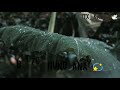 AZ ROZ SAANE DILBAR MAYNAI STATUS Acid Dosubscribemychannel Kashmir