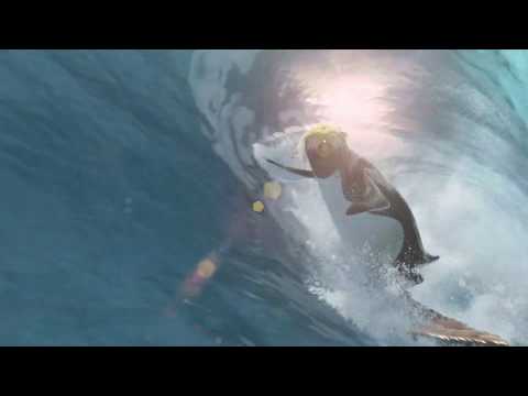 IMAGEWORKS FLASHBACK: Surf's Up (2007)