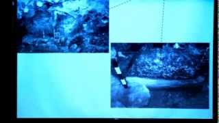 Archaeology in Palau, Micronesia: 3000 years of Life and Death in the Chelechol ra Orrak Rockshelter