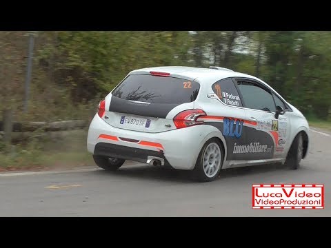 Rally Race Timorasso 2019 Rebutti-Padovani 208 R2B - Passaggi esterni
