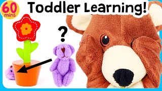 Toddler toys Learning  Hide & Seek + more! Lea