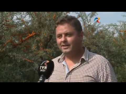 Interviu - Adrian Munteanu - Sat Podișu