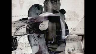 Snow Patrol-You Could Be Happy