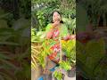 RRR Nursery Part 12 Comedy Shorts Richakka