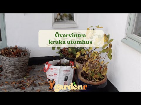 Övervintra krukor utomhus - Trädgårdshacks med GardenR