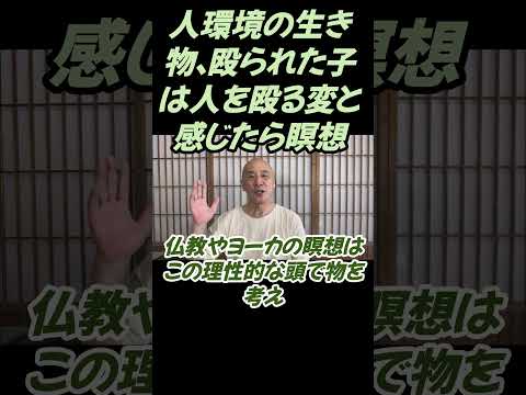 仏教学科 私たちが何かへんと感じたら瞑想しよう#切り抜き＃ヨガ＃健康#仏教＃瞑想＃マインドフルネス