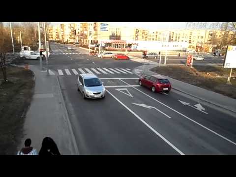 mik a jelei a parazita jelenlétének