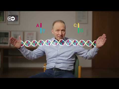 Ingeniería genética verde y granjas verticales   La agricultura del futuro   DW Documental