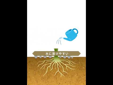 果樹に春に肥料を与えるにはどのような肥料を使用すればよいですか？  庭園