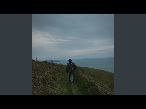 Dark Green Lilies - Aidan Wright