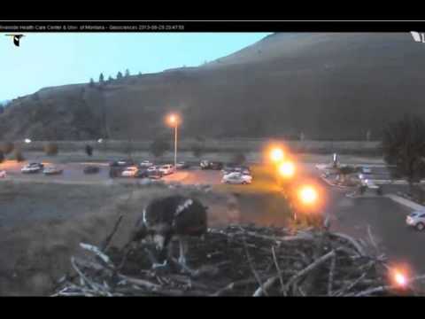 Video 2013 08 29 224836 ~ TAYLOR ENDS UP WITH TWO FISH!  ONE FROM IRIS AND ONE FROM STAN