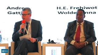 ROUNDTABLE 2 – FINANCING RISKS AND CHALLENGES FOR ENERGY TRANSITION IN AFRICA