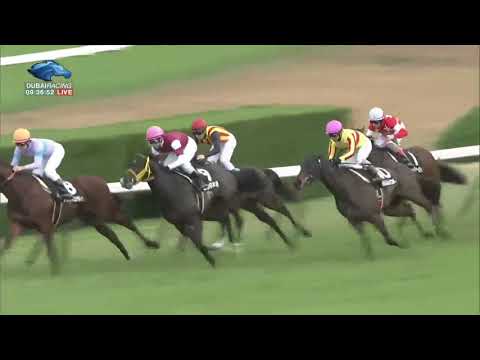 2017.11.19 Shumeigiku Sho (JPN) - Signalize