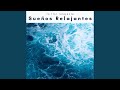 Smooth Dreams with Gentle Tunes