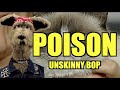 POISON UNSKINNY BOP I DON T LIKE CATS