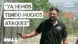 Thumbnail del capítulo