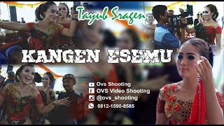 Download lagu TAYUB SRAGEN, KANGEN ESEM MU // LASTRI CILIK CS // MADU LARAS //DNS AUDIO mp3