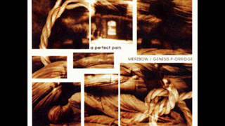 Merzbow & Genesis P Orridge - A Perfect Pain (Full Album) 1999