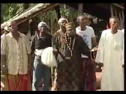 Pericoma the great one