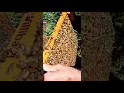 20210704 Karwendel 2097 01