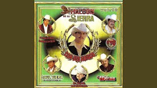 El Cachas De Oro Lyrics English Translation