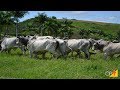 Curso Administração da Pequena Empresa Rural