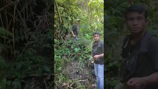 Download lagu Pikat burung manintin atau kacer air pake jangkrik: Langsung nyamber #pikatburungkacer #jangkrik mp3 Download lagu Pikat burung manintin atau kacer air pake jangkrik: Langsung nyamber #pikatburungkacer #jangkrik mp3