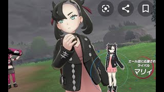 【ポケモン剣盾】レイド
