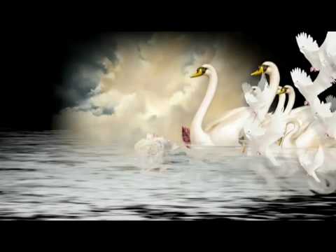 "Borgar" Alexander Nakarada