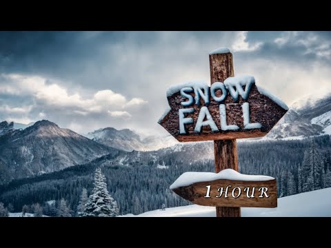 øneheart x reidenshi - Snowfall 1 Hora | CAMINO NEVADO Video