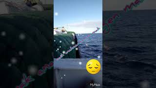 Download lagu Video status wa - anak rantau mp3 Download lagu Video status wa - anak rantau mp3