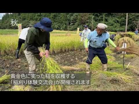 骨寺村荘園遺跡の四季