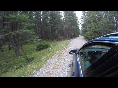 Adevaratul Transrarau DJ175A - Octombrie 2018