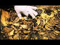TREASURE HUNTERS SUCCESS AND GOLD