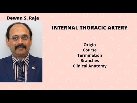 INTERNAL THORACIC ARTERY