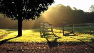 Transcription of Organ Music