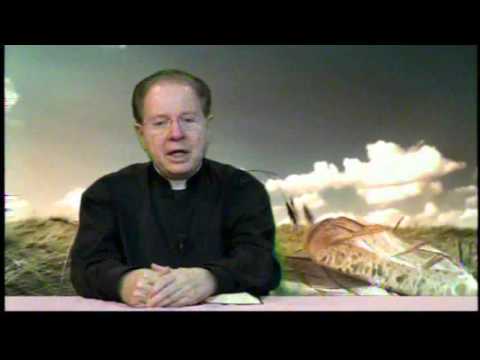 O Pão Nosso 21 Janeiro 2016 - Pe.F.C.Cardoso