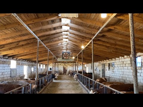 FERMANIN İDEAL ÖLÇÜLƏRİ