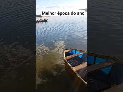 #riotocantins #praias temporada das praias do rio Tocantins em Cidelândia Maranhão praia da viração