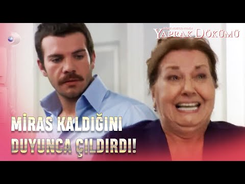 Hayriye, Miras Kaldığını Öğrenince Mutluluktan Çıldırdı! - Yaprak Dökümü 164. Bölüm