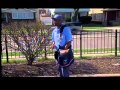 Mail Carriers And Dog Bites