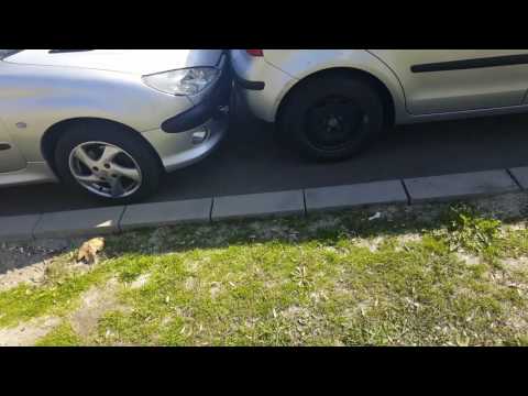 Belea de belea Hotarani