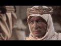 ✨ 💖LAWRENCE OF ARABIA IS A GAY ICON💖 ✨